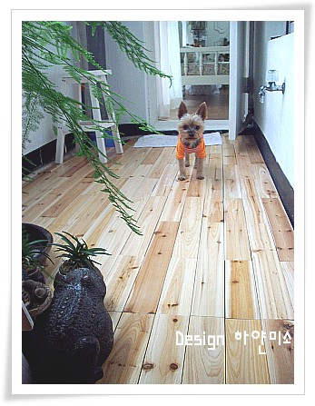 향기마루 이미지