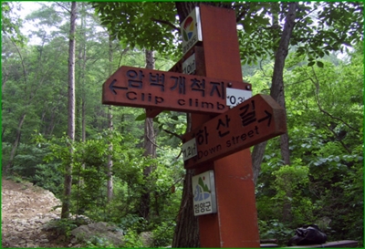 함양흑염소 이미지