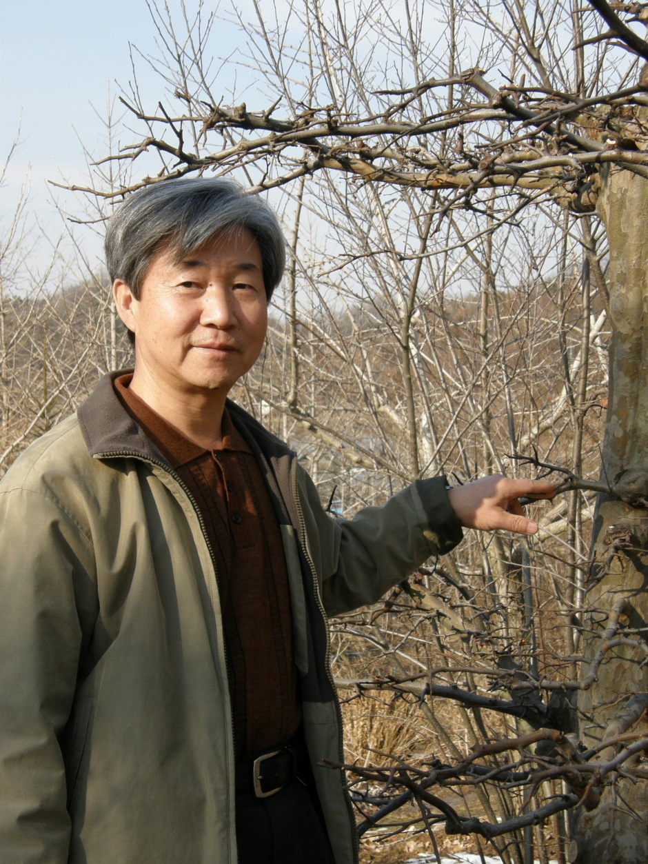 들꽃세상 이미지