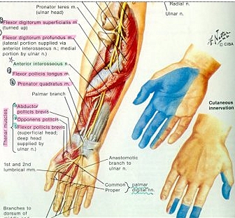 http://blog.daum.net/_blog/BlogView.do?blogid=02FUh&articleno=12586175 찌릿찌릿