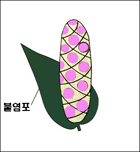 화서가 이미지