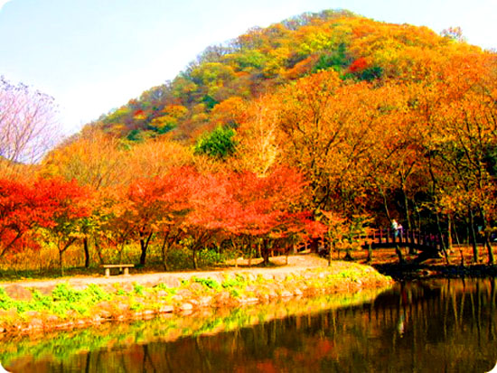 전남 장성군의 백암산 백양사 단풍>