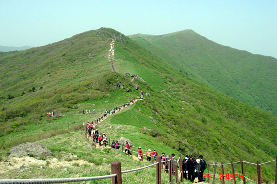 http://blog.daum.net/jameslim/11993498 소백산(죽령