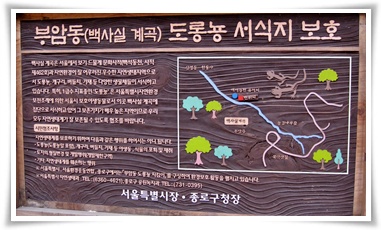 비밀정원12 이미지