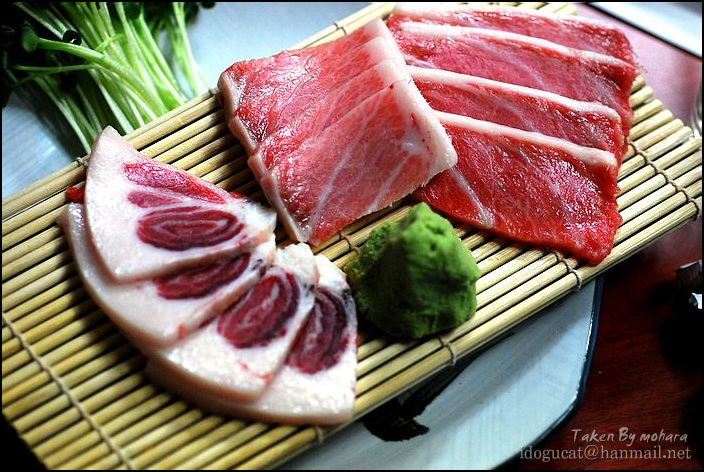 란참치 이미지