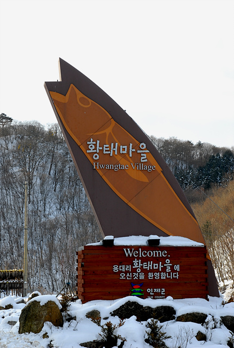 하늘황태덕장 이미지