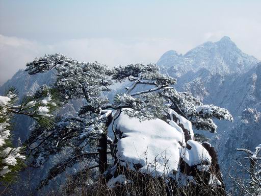 황산신발 이미지