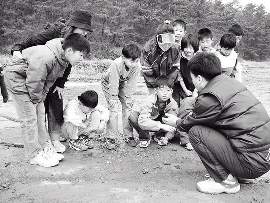고성보리수 이미지