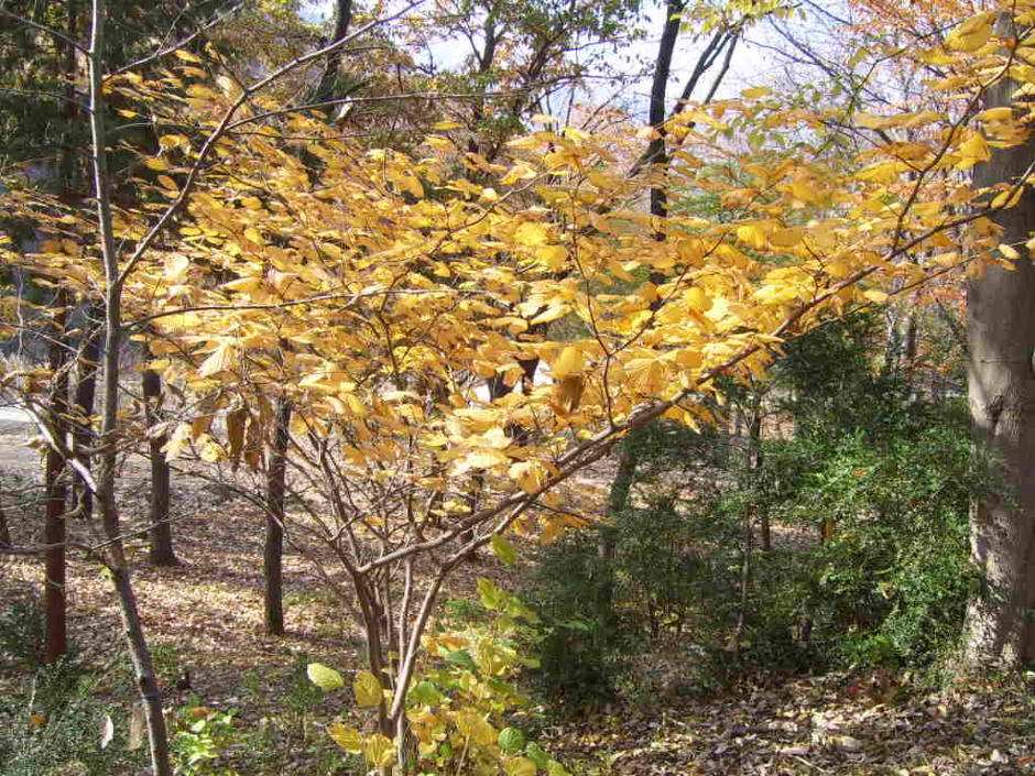 http://m.blog.daum.net/hanyspa/11481226 Daum 블로그