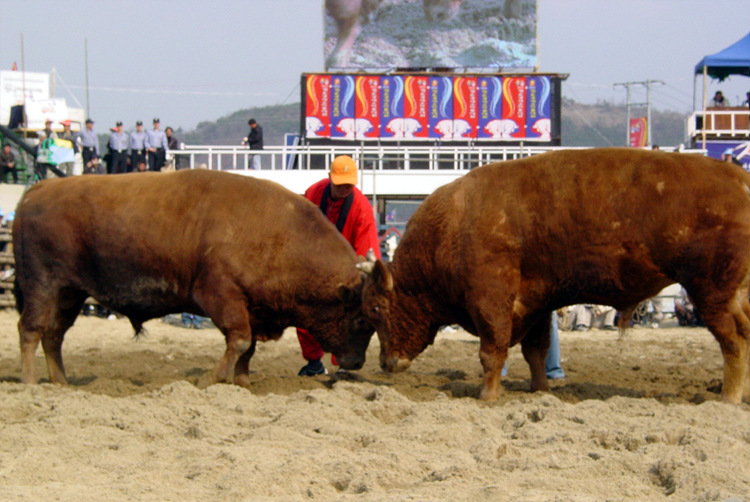 평사리상회 이미지