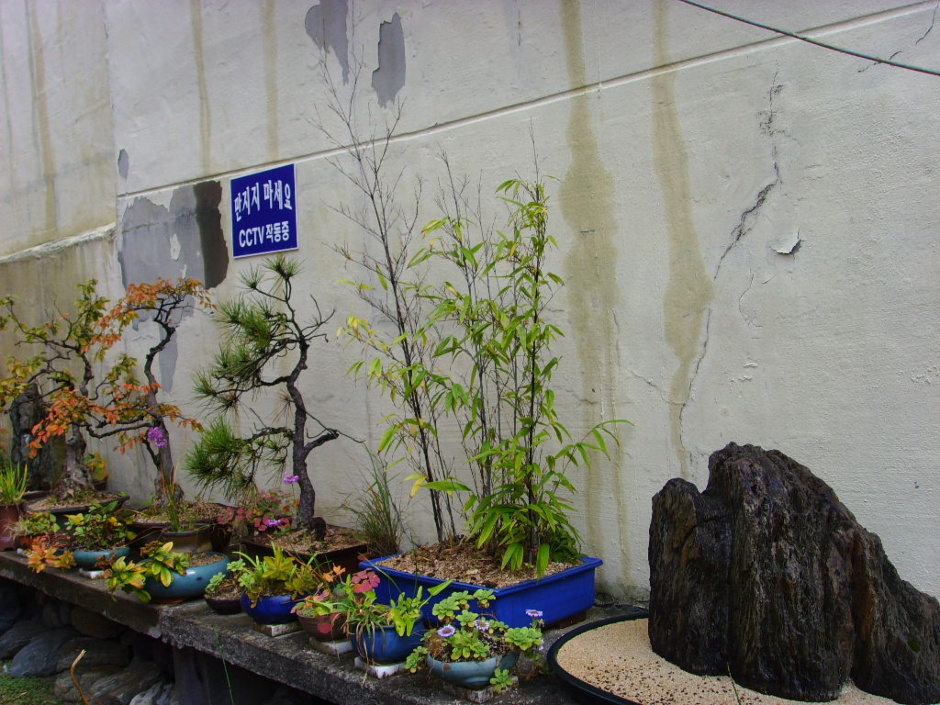 475522a2ca738&filename=