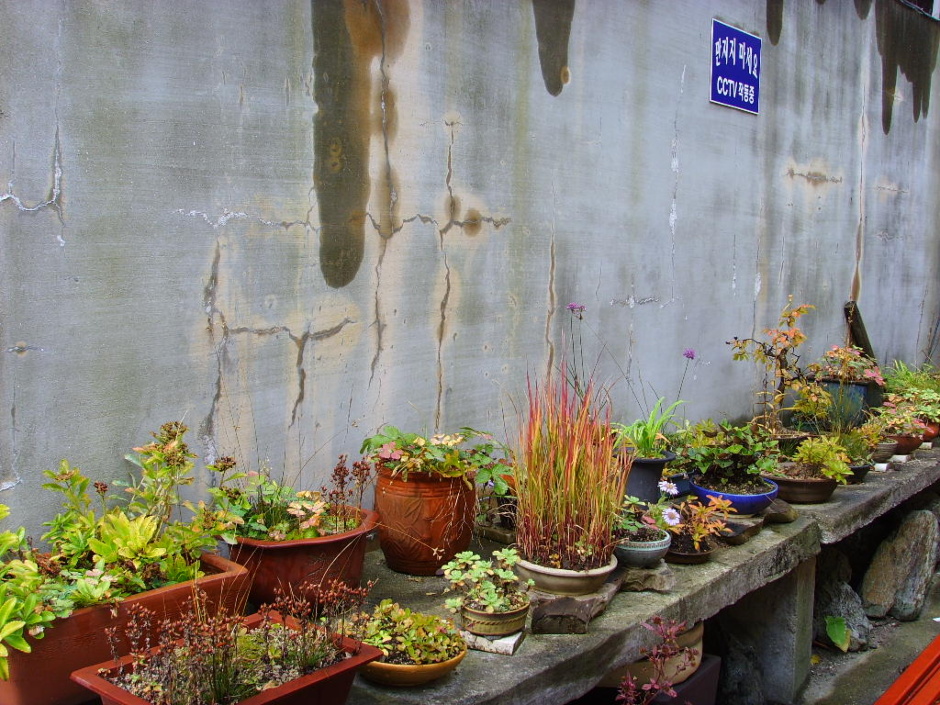 47552282cffff&filename=