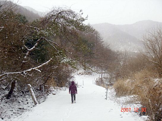 조령주유소 이미지