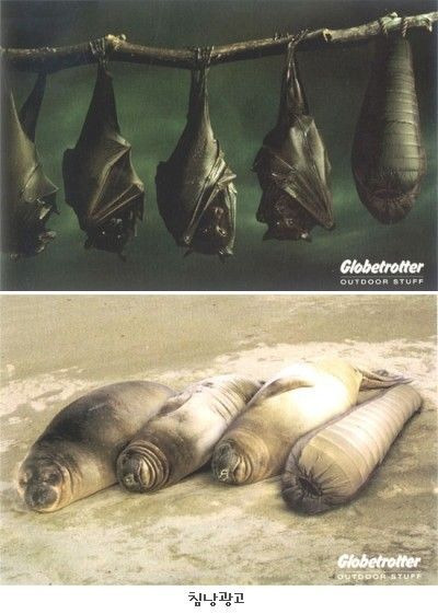 아이디광고 이미지