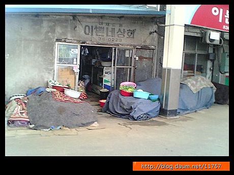 증평상회 이미지