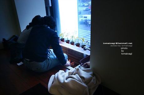 나무그늘카페 이미지