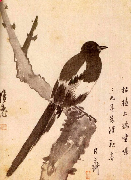 금수 이미지