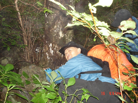 삼정곱창 이미지