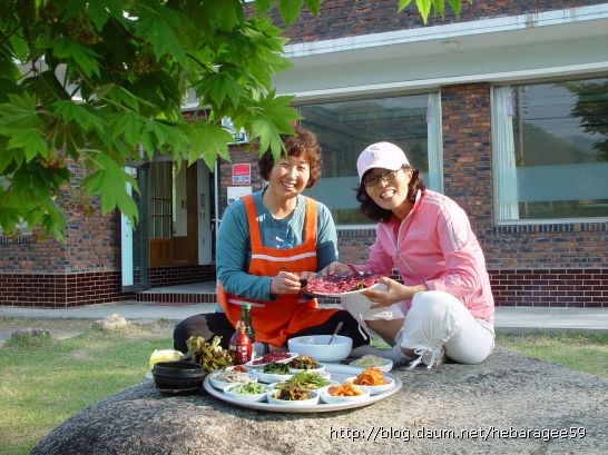 건강보리밥 이미지