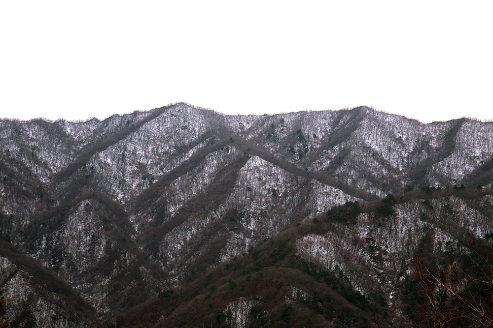 강산 이미지