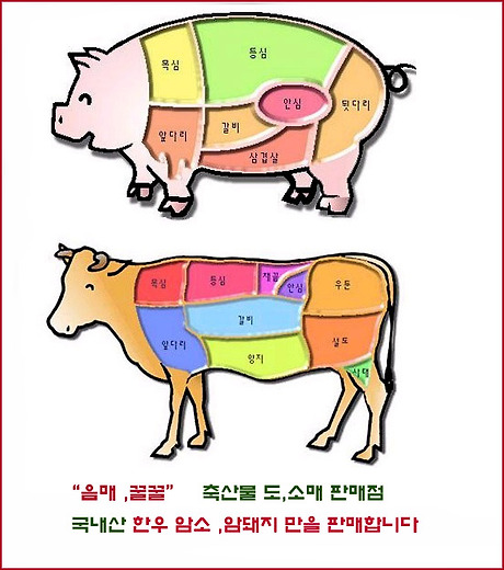 음매 이미지